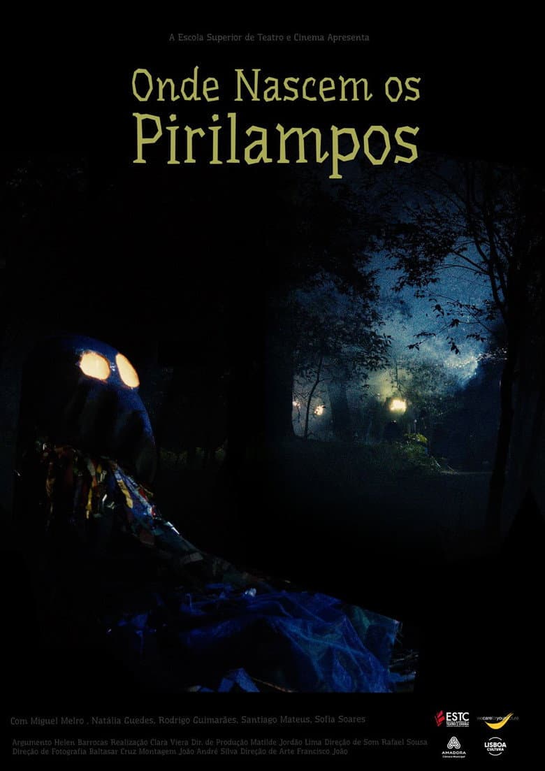 Where Fireflies Sparkle